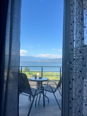 Studio MERAKI, Star Dojran